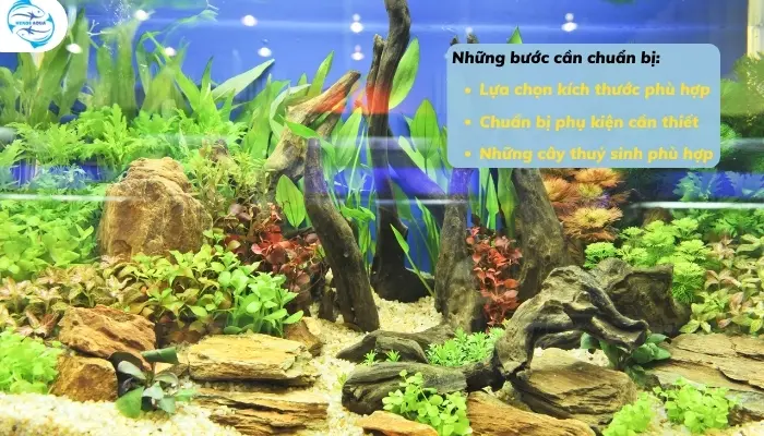 Hướng dẫn setup bể cá thần tiên đẹp chi tiết nhất 2025 Một số bước cần chuản bị để setup một bể cá ông tiên đẹp