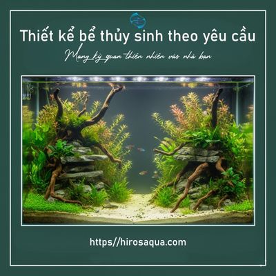 banner thiet ke be thuy sinh
