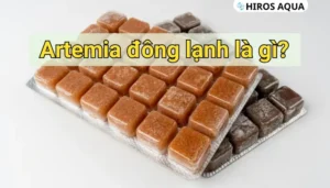 Artemia đông lạnh