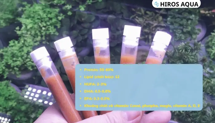 Artemia đông lạnh là gì? Hướng dẫn làm artemia đông lạnh tại nhà 6 Hàm lượng dinh dưỡng của artemia đông lạnh