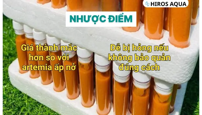 Artemia đông lạnh là gì? Hướng dẫn làm artemia đông lạnh tại nhà Một vài nhược điểm của artemia đông lạnh